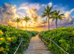 CASTORLAND Puzzle 3000el. Colorful Sunrise in Miami, USA - Wschód Słońca w Miami