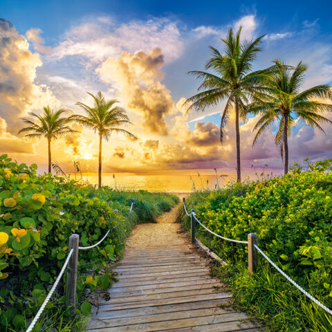 CASTORLAND Puzzle 3000el. Colorful Sunrise in Miami, USA - Wschód Słońca w Miami