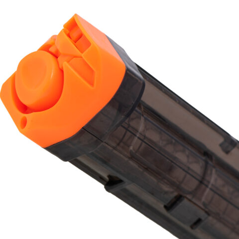 KX631365473.jpg