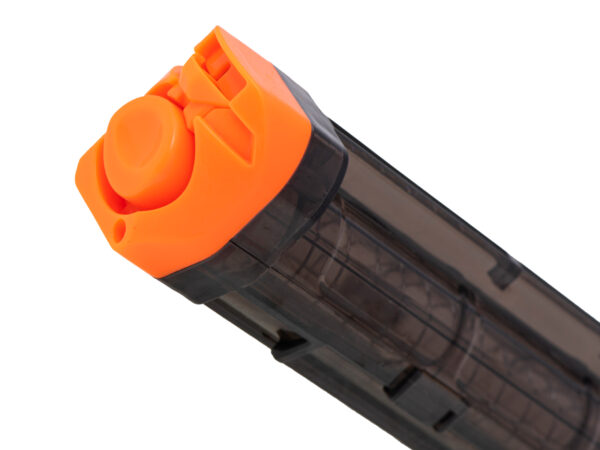 KX631365473.jpg