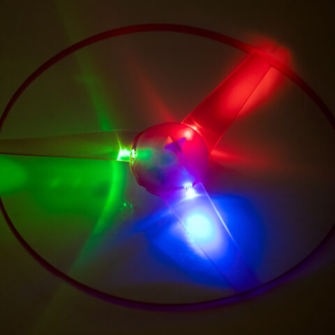KX653163903.jpg